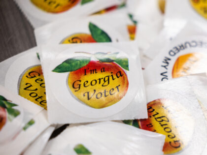 Georgia Special Election Advances to Runoff As Democrat Tries to Flip State Senate Seat