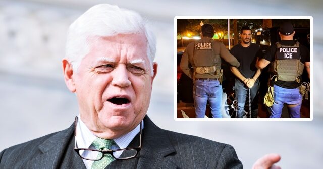 Democrat Rep. Calls On 'Americans to Rise Up' Against 'Gestapo' ICE Agents