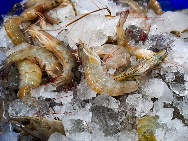 Fresh prawns