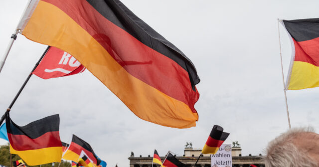 Germany’s AfD Party Hits Record Support as Establishment Coalition Continues to Slide