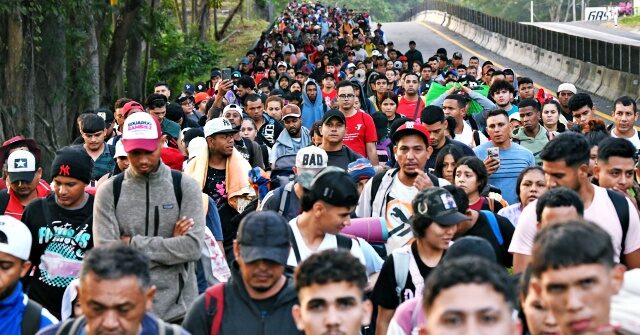 USCIS Director: Biden Plan was 'Mass Amnesty' to 'Change Demographics'