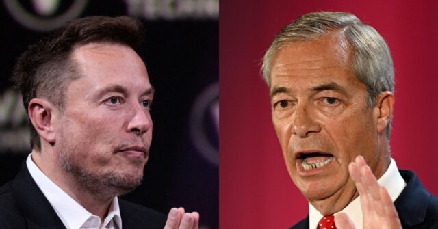 Divide the Right: Elon Musk Attacks Farage Again, Backs Rival Party