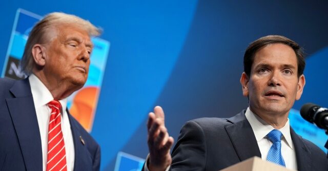 Trump's State Department Drafts Crackdown on Visa Overstay Illegals