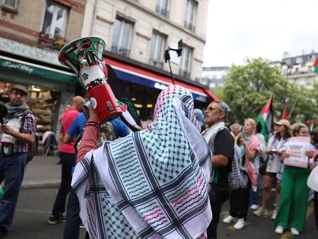 PARIS, FRANCE - JULY 31: People gather to stage a pro-Palestinian protest in Paris, France