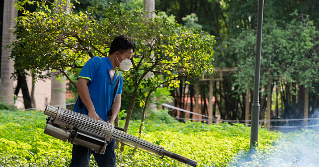 Chikungunya Outbreak in Guangdong Sparks Global Concern