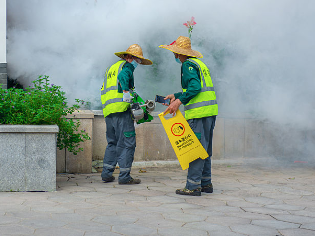 Video: Mosquito-Borne Chikungunya Virus Hitting China Prompts Fears of U.S. Outbreak