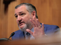 Ted Cruz Urges Trump to Recognize Somaliland, Citing Emerging Israeli Ties and Its Role as a Key U.