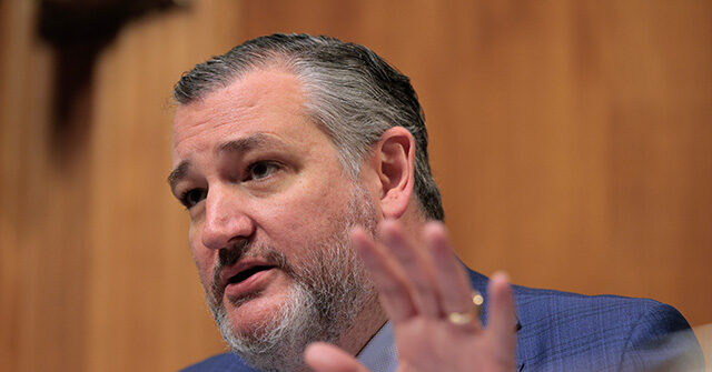 Ted Cruz Urges Trump to Back Somaliland, Cites Pro-Israel Stance