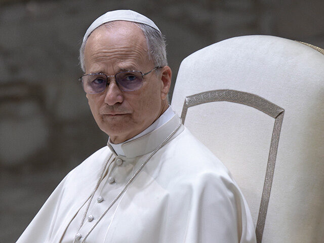 Pope Calls for End to ‘Pandemic of Arms’ After Trans Shooter Attacks Catholic School