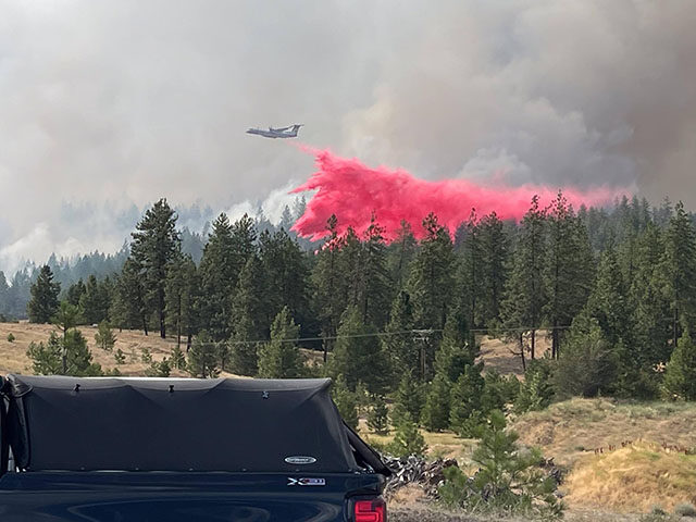 Firefighters Save 1,000-Year-Old Tree While Battling Blaze in Olympic National Park