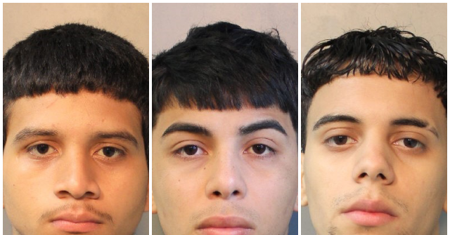 Sanctuary NY: MS-13 Gang Members Face 14 Counts of Attempted Murder