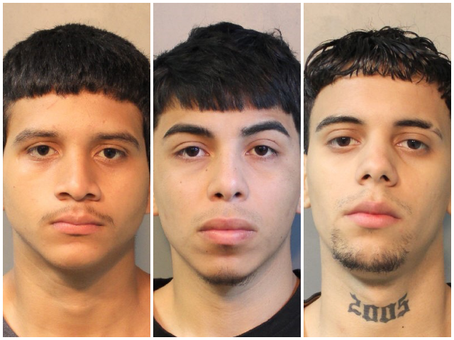 Sanctuary New York: Illegal MS-13 Gang Members Charged with Combined 14 Counts of Attempted Murder