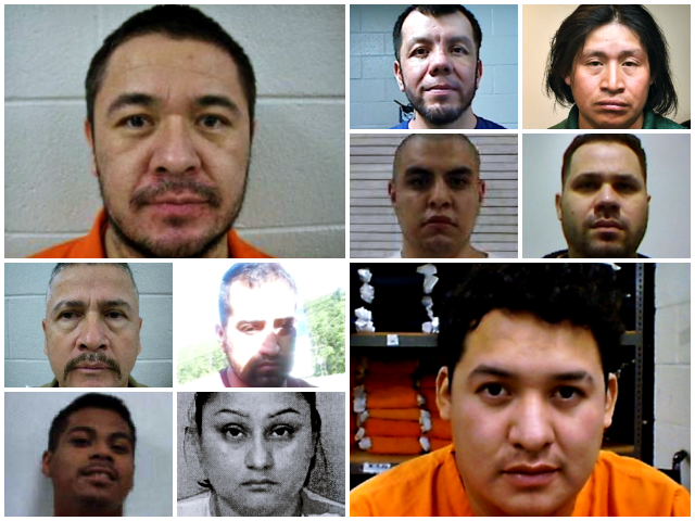 Exclusive: President Trump Oversees 367% Increase in ICE Arrests of Illegal Aliens in Georgia