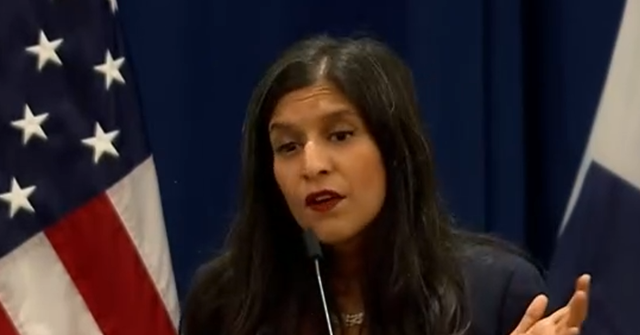 Soros-Linked Lobbyist at DNC Summer Meeting: Migrant Crime, Carjackings 'Don’t Matter to That Many Americans’