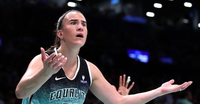 The Athletic Blasts 'Misogynistic' WNBA Dildo Throwers for 'Denigrating Women'