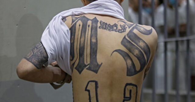 MS-13 Gang Member Serving Time for Murder Suing Trump to Be 'Recognized' as Female