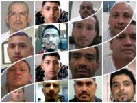 ICE HOUSTON: 350 Criminal Alien Gang Members with 1,400 Deportations, 1,700 Crimes