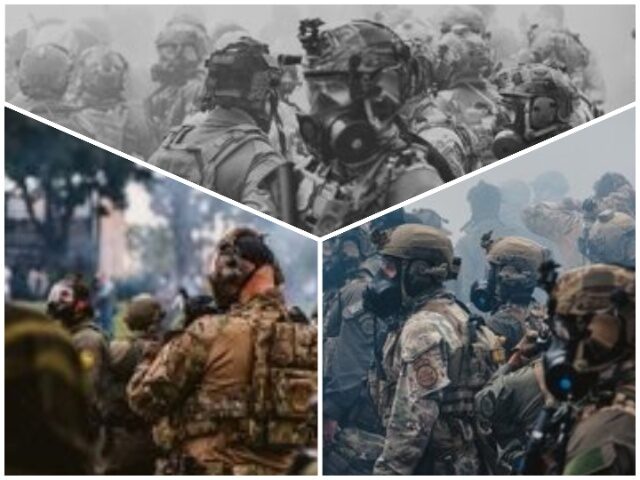Border Patrol Agents Assaulted in Los Angeles Anti-ICE Riots Border Patrol Agents Assaulted in Los Angeles Anti-ICE Riots (FILE: U.S. Border Patrol)