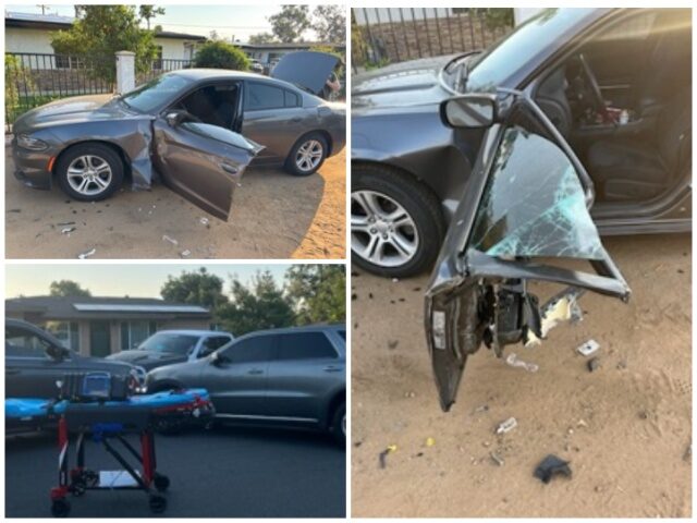 2X Deported COVID-Era Illegal Alien Crashes into, Injures ICE Agent