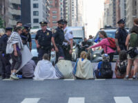 Exclusive – Rep. Randy Fine’s ‘Thump Thump’ Bill Permits Drivers to Ram Protest
