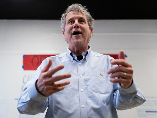 Sherrod Brown Democratic senate candidate, U.S. Sen. Sherrod Brown (D-OH), addresses volunteers at a cam