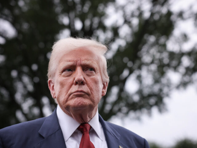 U.S. President Donald Trump speaks to the media as he departs the White House on August 01