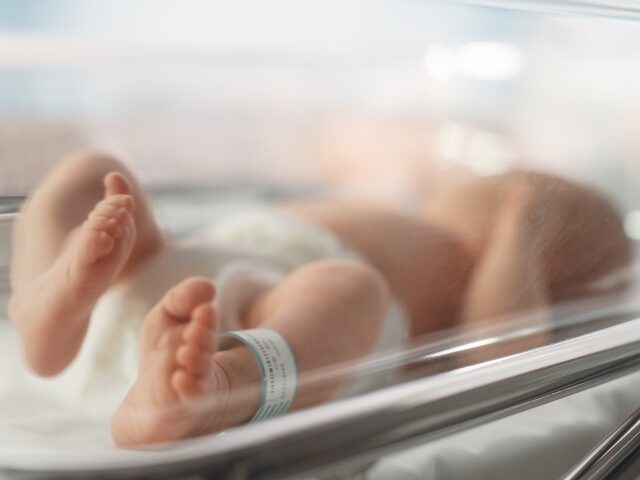 a newbord baby still in the hospital