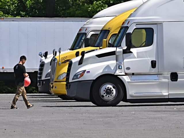 american truck driver ALBANY, NY - JULY 22: A truck driver walks back to his truck parked at the Plaza 23 truck