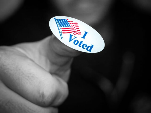 americans vote again