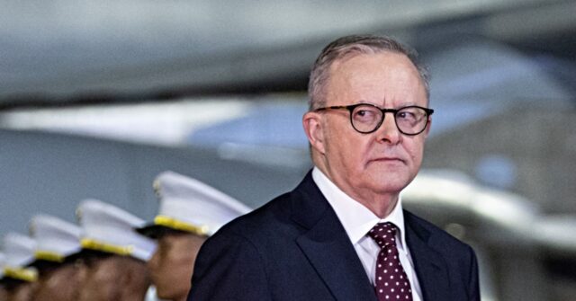 Left-Wing Australian PM Scolds Netanyahu -- 'In Denial' over Gaza