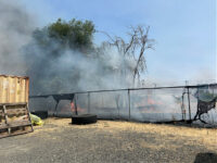 DHS: Arsonist Attacked Washington ICE Field Office