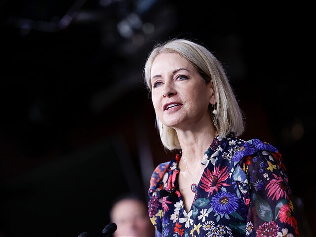 WASHINGTON, DC - JULY 14: Rep. Mary Miller (R-IL) speaks during a press conference on the