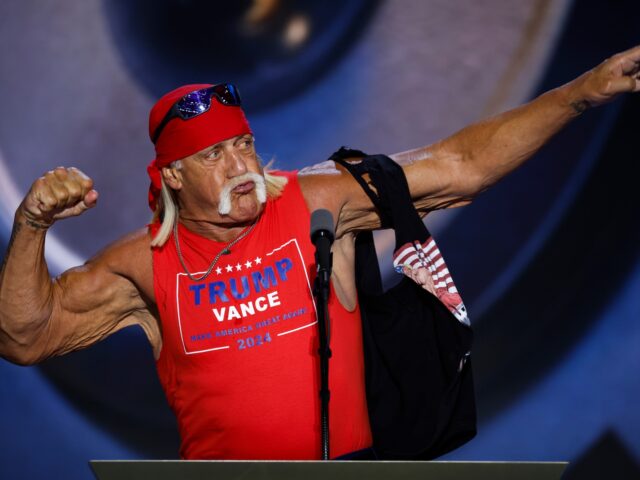 hulk hogan MILWAUKEE, WISCONSIN - JULY 18: Professional entertainer and wrestler Hulk Hogan poses as