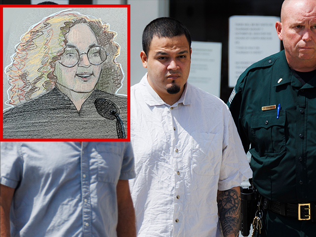 This courtroom sketch depicts U.S. Magistrate Judge Barbara Holmes in court during a deten