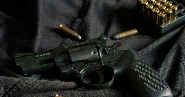 Ninth Circuit Overturns California's 'One-Gun-Per-Month' Restriction