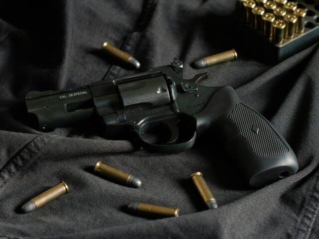 Ninth Circuit Overturns California’s ‘One-Gun-Per-Month’ Restriction