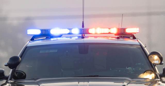 Video: Michigan Police Tether Fleeing Stolen Car With 'Grappler' Device, Netting Three Arrests