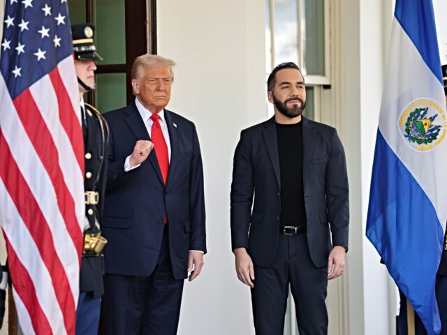 Trump Admin Backs El Salvador Ending Presidential Term Limits: ‘It Is up to Them to Decide’