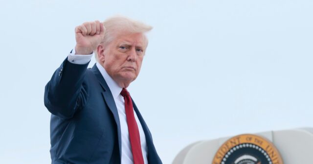 Poll: Democrats Despair Party Is ‘Weak and Ineffective’ Against Trump