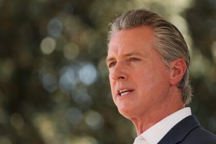 California Governor Gavin Newsom has emerged as a key anti-Trump figure in the still-floun