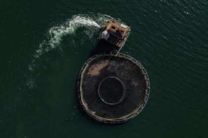 Fish are among the Brazilian products subject to a 50 percent tariff, like those caught at