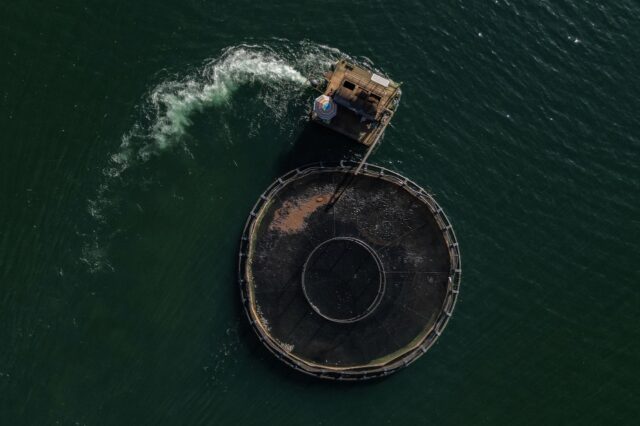 Fish are among the Brazilian products subject to a 50 percent tariff, like those caught at