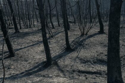 Hot, dry winds and a heatwave made for challenging conditions