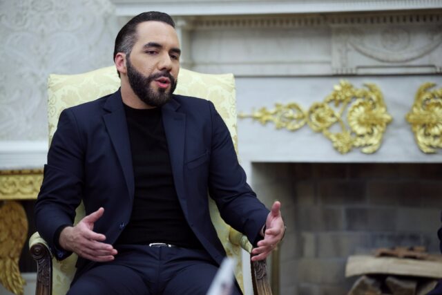 President Nayib Bukele, who describes himself as "the world's coolest dictator,&