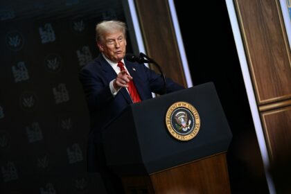 US President Donald Trump's proposal to hand cash to Americans has roused interest