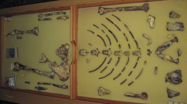 The Associated Press