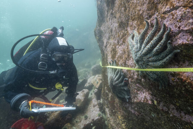 The Associated Press