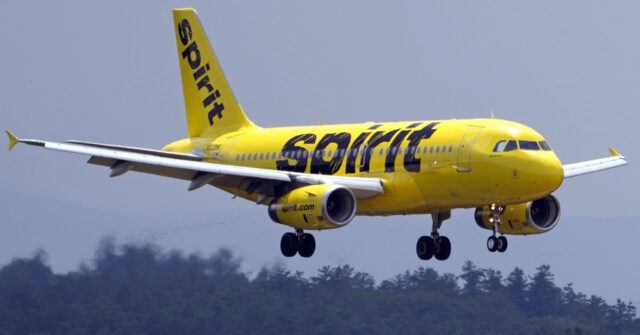 Spirit Airlines Faces Closure Doubts After Post-Bankruptcy Losses
