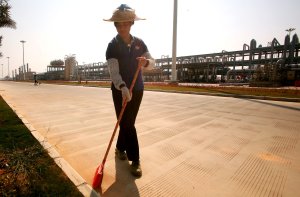 CDC issues warning as China fights chikungunya virus in Guangdong