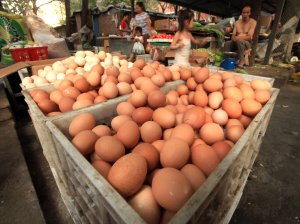 Egg recall linked to 18 hospitalizations